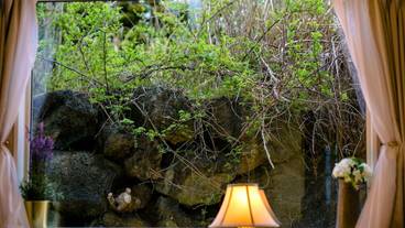 ガーデン ビュー / 5