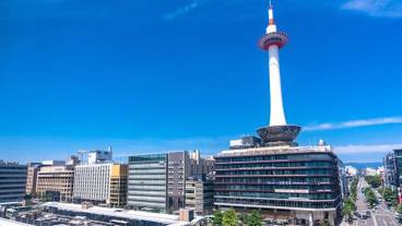 観光スポット / 14