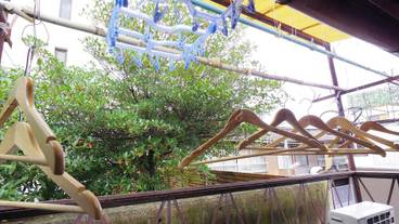 施設からの眺望 / 13