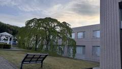 秋保温泉 ホテルニュー水戸屋＆アネックス