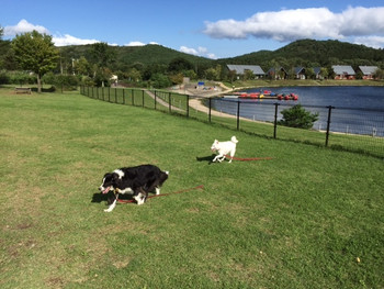 1.コテージ・温泉・レジャーが充実「エンゼルフォレスト那須白河」3965483