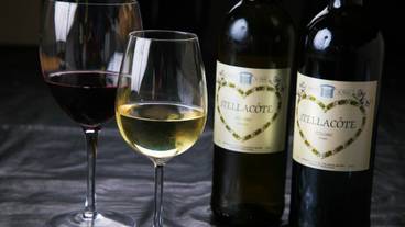 食事・飲み物 / 11