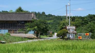 施設の敷地 / 12