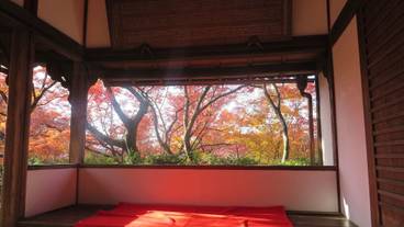 観光スポット / 6