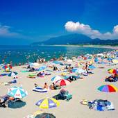 寺泊海岸つわぶき温泉 美味探究の宿 住吉屋(新潟県 旅館) / 4