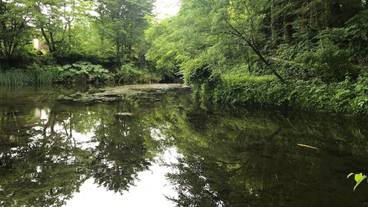 観光スポット / 1