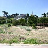 シェフが営む隠れ宿 潮騒（静岡県 民宿） / 4