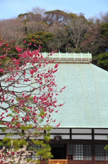 格式の高いお寺、浄妙寺19124