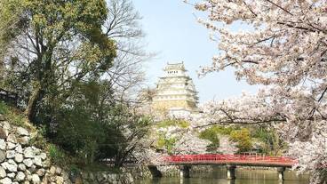 シティ ビュー / 11