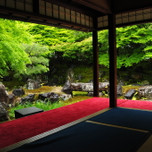 京都・女ひとり旅。名庭を眺める、癒しのお寺巡りをご案内。