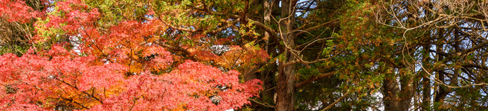 【秋田】紅葉の名所とおすすめの温泉旅館7選♪絶景に癒される大人女子旅