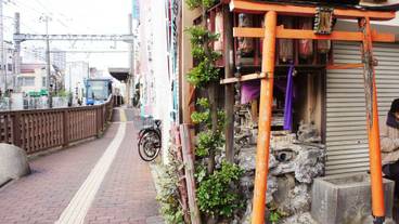 施設からの眺望 / 21