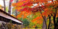 秋の絶景を求めて！福島県の紅葉を見に行こう♪【10選】