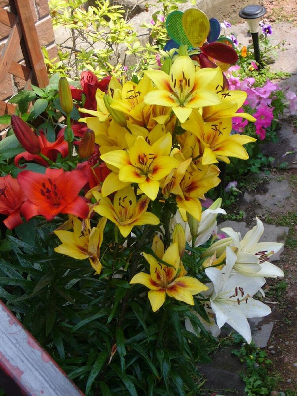 施設からの眺望