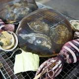 いち豆（イチズ）