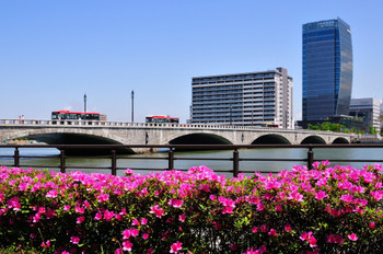 Bandai Bridge with blooming azaleas