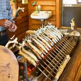 杉ケ瀬ヤナ（スギガセヤナ）