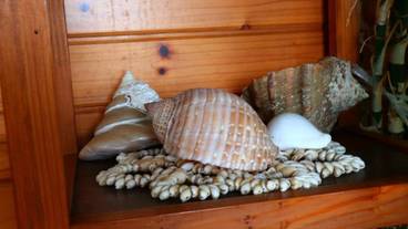 内装の詳細 / 10