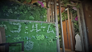 ジュニア ダブルまたはツインルーム シングルベッド 2 台 禁煙 共用バスルーム