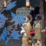 着物をきて歩くのも人気 / 2