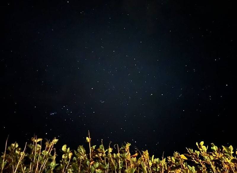 ホテルから見える星空例 / 1