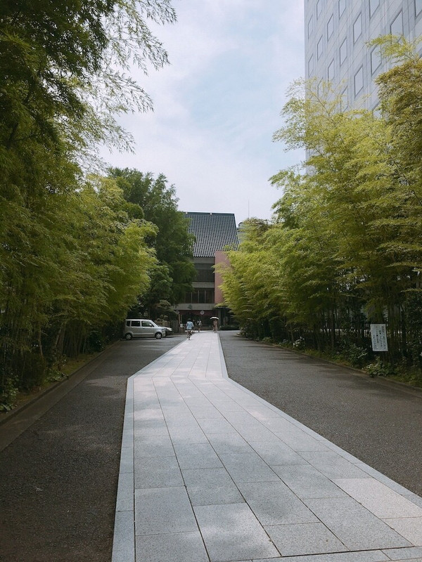 観光スポット