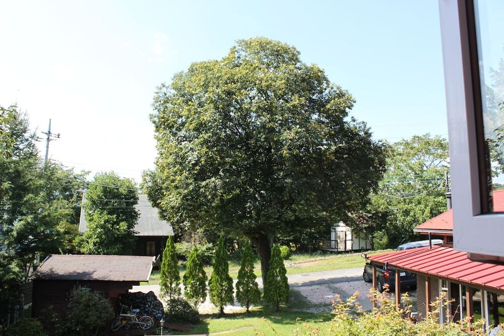 施設からの眺望