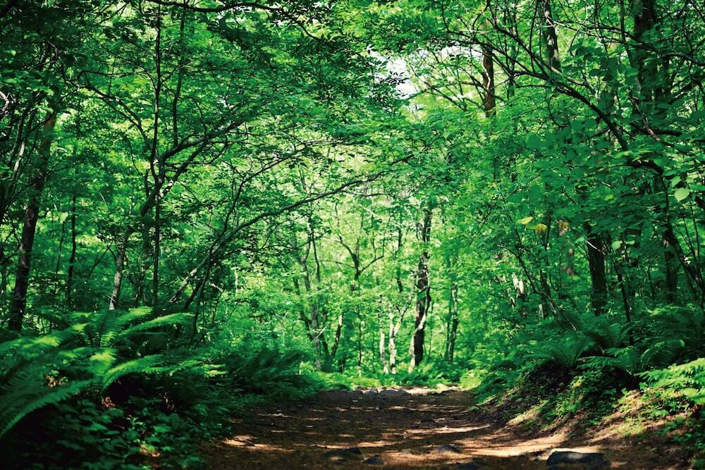 バーベキュー / ピクニック エリア