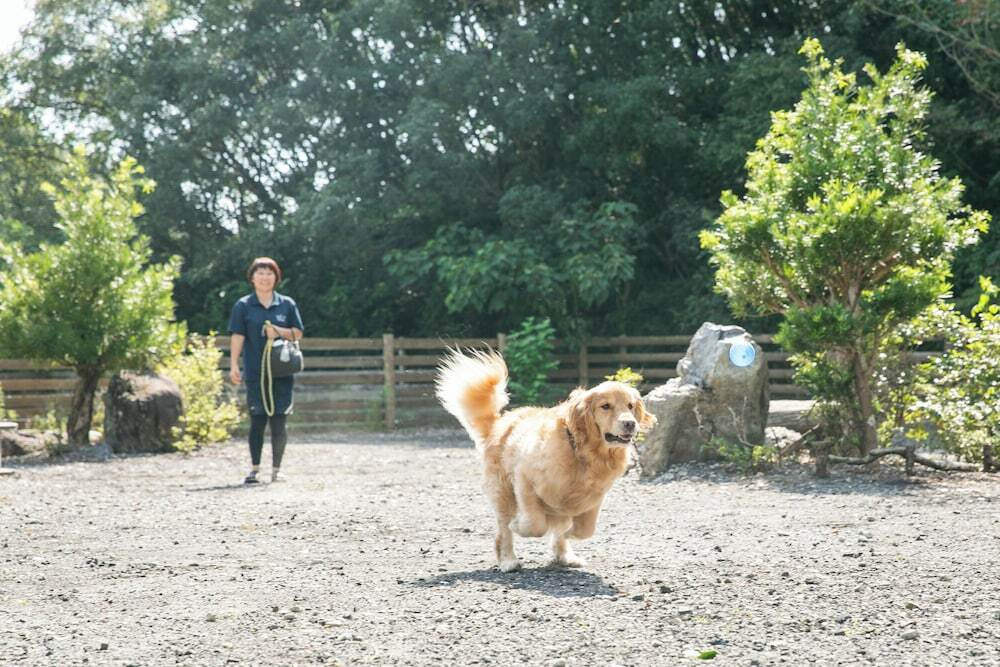 ペット用設備・サービス