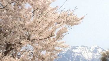 ビュッフェ / 18