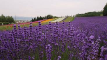 施設からの眺望 / 38