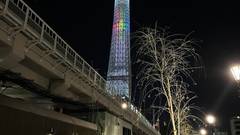 WISE OWL HOSTELS RIVER TOKYO