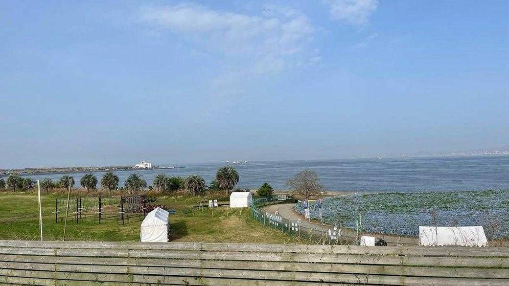 敷地内から見た海 / 1