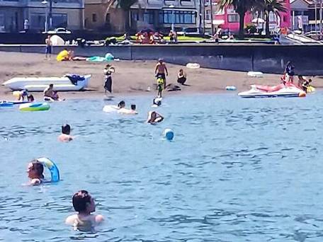 伊豆の家 MOANA / 3