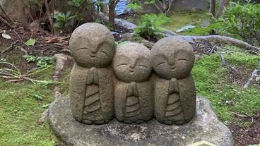 観光スポット / 13