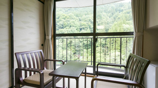 和室  10畳  山の景色 素泊まり 禁煙