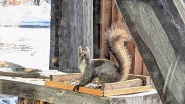 レストラン / 30