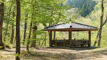 宿泊施設の地図 / 10