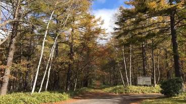 施設の敷地 / 16