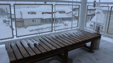 テラス / パティオ / 7