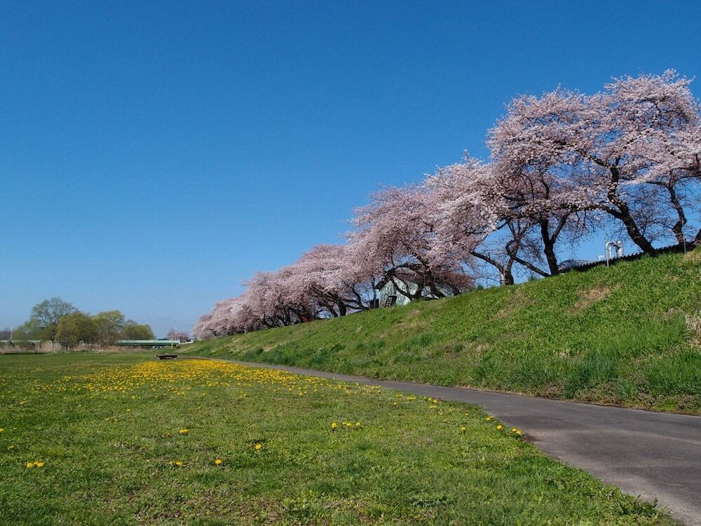 施設からの眺望
