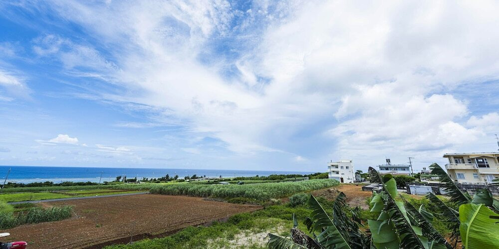 ビーチ / オーシャン ビュー