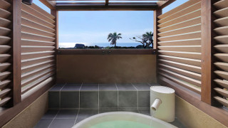 露天風呂付き離れ（10畳）