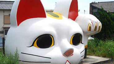 観光スポット / 7