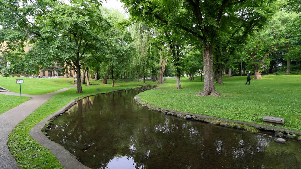 北海道大学 エルムの森 / 2