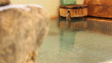 屋内スパ浴槽 / 9