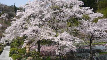 施設からの眺望 / 6