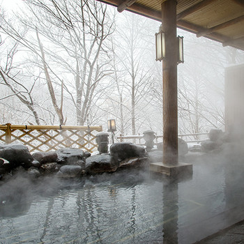 蜂蜜の食べ比べや四季を楽しめる温泉で美を磨こう3502020