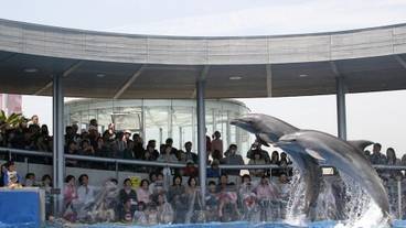 観光スポット / 14