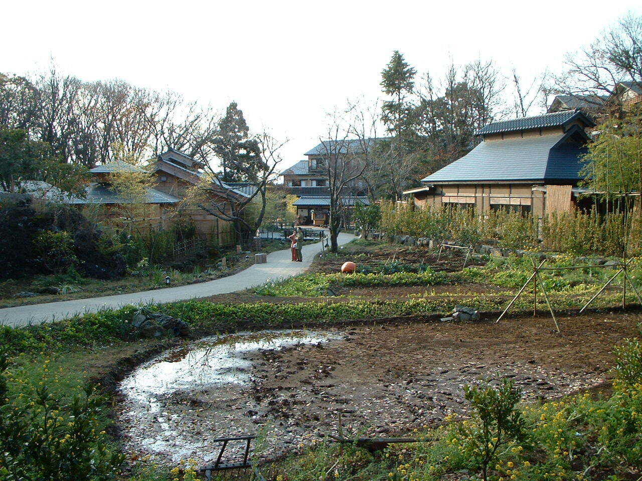 2. 八幡野温泉郷｜杜の湯 きらの里3628253